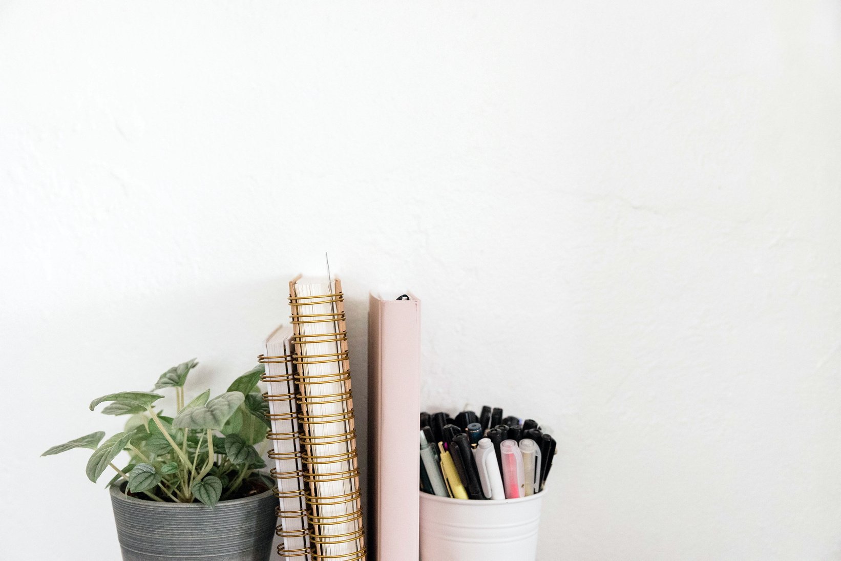 Plant, Notebooks and Pens on White Wall